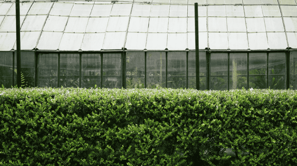 Top Fencing Options for Homes in Houston, TX