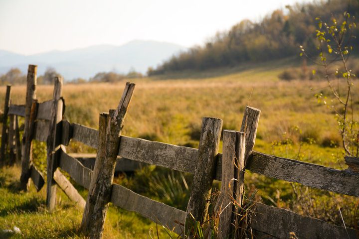 Old Fence Disposal Houston, TX Guide Top Fence Installation Company In Houston TX | Griffin Fence